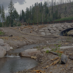 Post-Wildfire Recovery Through Principles of Engineering with Nature Cover Photo